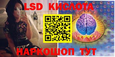 кокс Можга