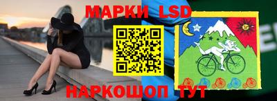 кокс Можга