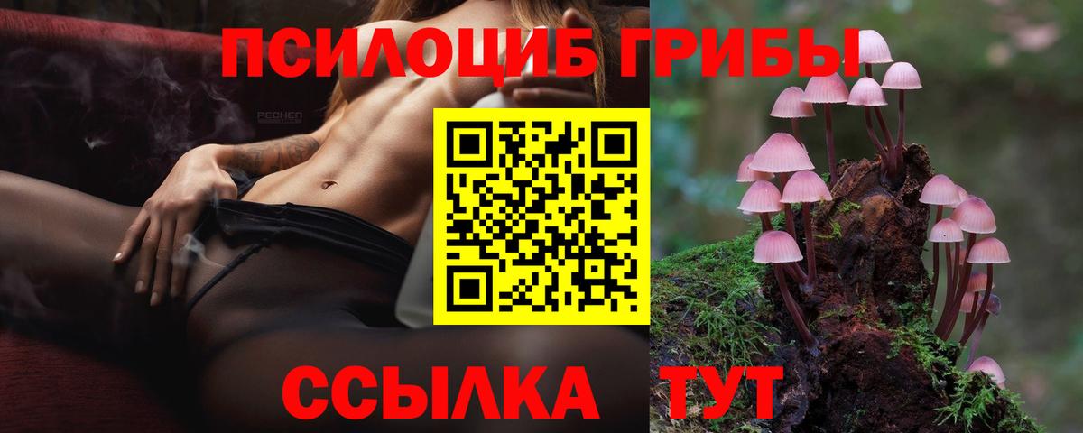 Чебаркуль  Галлюциногенные грибы мицелий  Вход с VPN  Галлюциногенные грибы Psilocybine cubensis 
